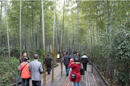 司能經(jīng)銷商•供應(yīng)商游覽南山竹海